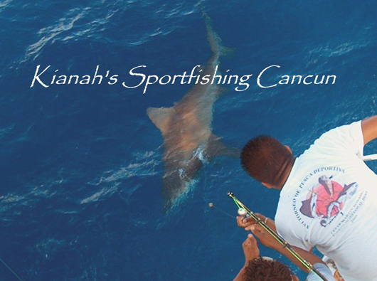 Cancun Shark fishing